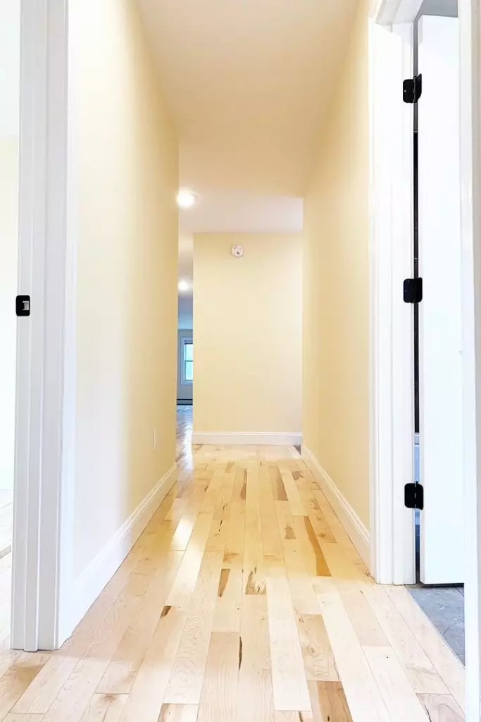 21 Peru St #1, Burlington, VT | Newly Renovated 4 Bedroom, 2 Bathroom Apartment Near Downtown | June 2027