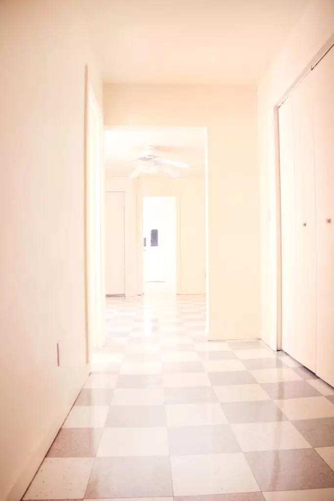 3 Bedroom Apartment in Downtown Burlington, VT | Near UVM & Champlain College | June 2027